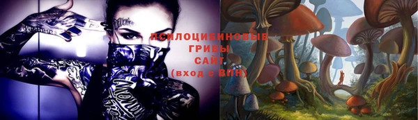 мет Коряжма