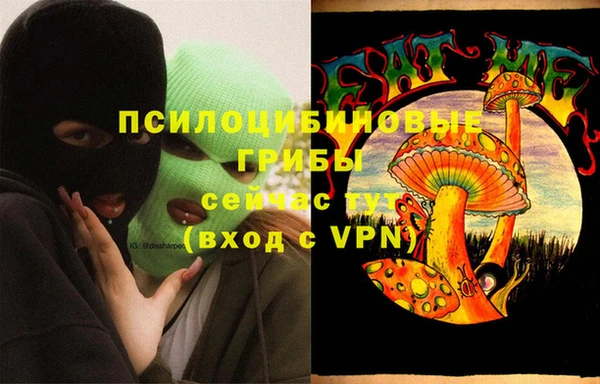 мет Коряжма