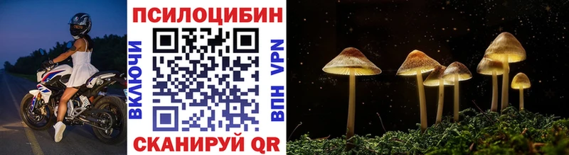 Псилоцибиновые грибы Psilocybe  Называевск 